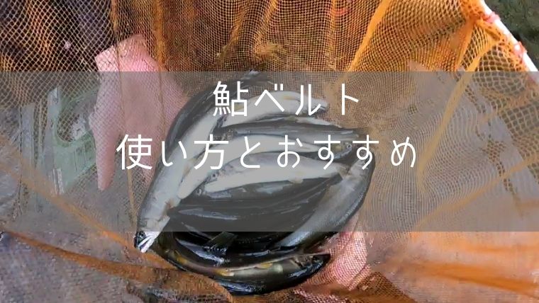鮎ベルトの使い方と機能をご紹介 おすすめの鮎ベルトと便利アイテム | 四国の釣り人 鮎ベルトの使い方と機能をご紹介 おすすめの鮎ベルトと便利アイテム | 四国の釣り人