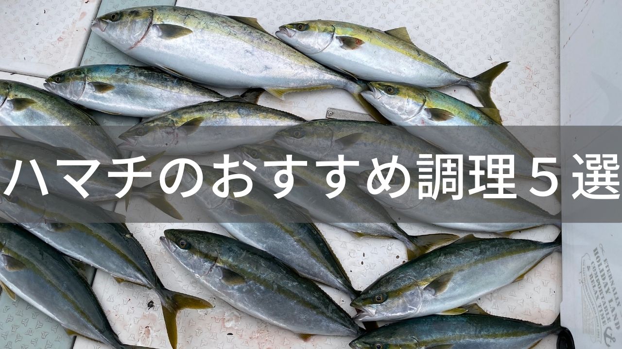 ハマチを飽きず食べきる おすすめ料理5選 調理法をご紹介 四国の釣り人
