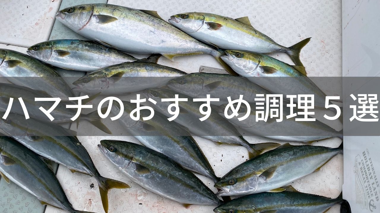 ハマチを飽きず食べきる おすすめ料理5選 調理法をご紹介 四国の釣り人 ハマチを飽きず食べきる おすすめ料理5選 調理法をご紹介 四国の釣り人